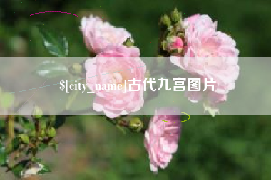 余姚古代九宫图片