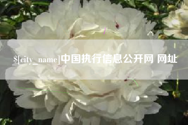 余姚中国执行信息公开网 网址