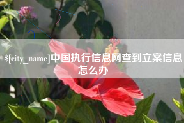 余姚中国执行信息网查到立案信息怎么办