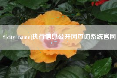余姚执行信息公开网查询系统官网