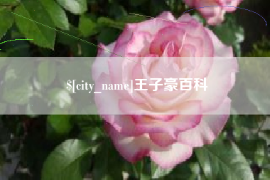 余姚王子豪百科