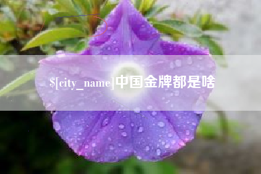 余姚中国金牌都是啥