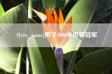 余姚男子5000米世界冠军