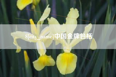 余姚中国金牌包括