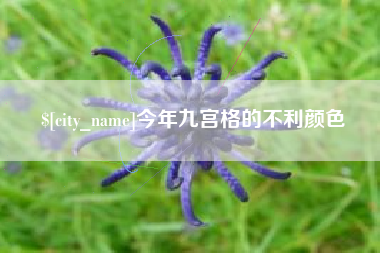 余姚今年九宫格的不利颜色