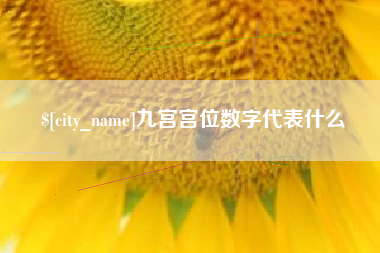 余姚九宫宫位数字代表什么