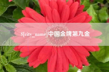 余姚中国金牌第九金