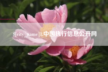 余姚1.中国执行信息公开网