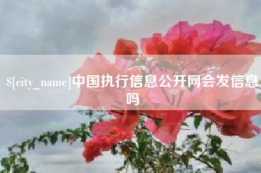 余姚中国执行信息公开网会发信息吗