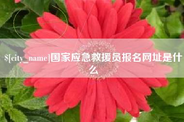 余姚国家应急救援员报名网址是什么