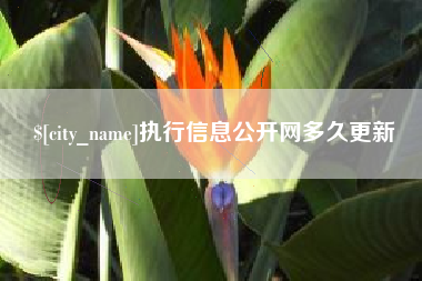 余姚执行信息公开网多久更新