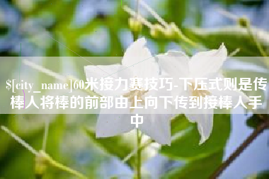 余姚60米接力赛技巧-下压式则是传棒人将棒的前部由上向下传到接棒人手中