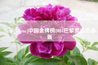 余姚中国金牌榜2024巴黎奥运会最新