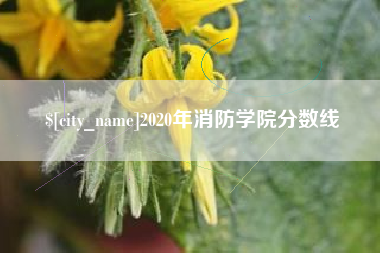 余姚2020年消防学院分数线