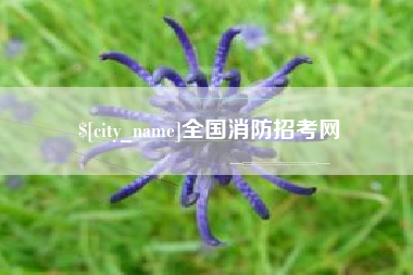 余姚全国消防招考网
