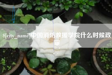 余姚中国消防救援学院什么时候政审
