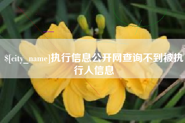 余姚执行信息公开网查询不到被执行人信息