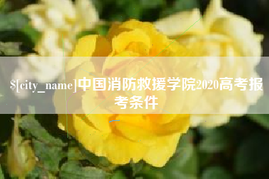 余姚中国消防救援学院2020高考报考条件