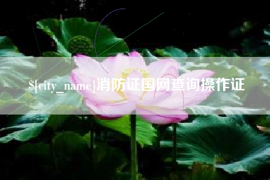 余姚消防证国网查询操作证