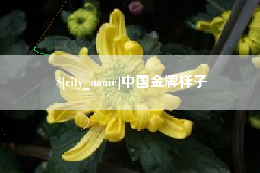 余姚中国金牌样子