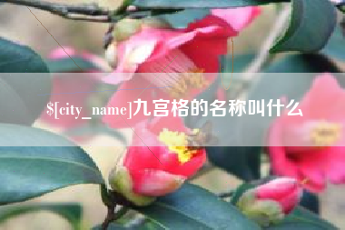 余姚九宫格的名称叫什么