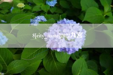 余姚2022九宫