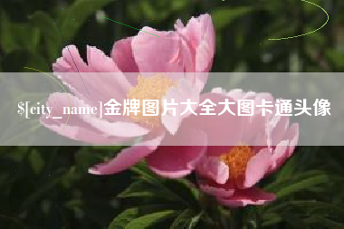 余姚金牌图片大全大图卡通头像