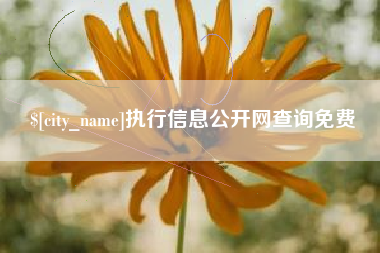 余姚执行信息公开网查询免费