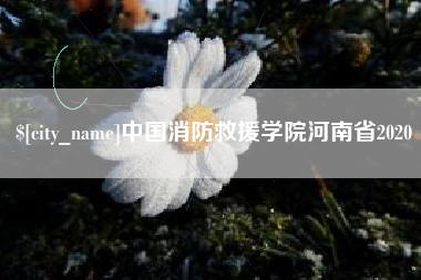 余姚中国消防救援学院河南省2020
